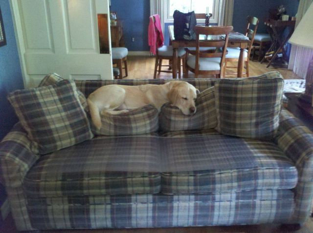 Morning Picdump