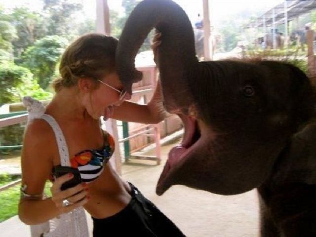 Morning Picdump
