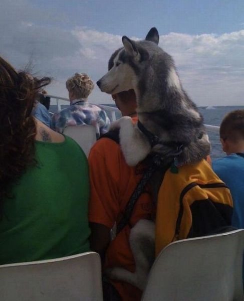 Morning Picdump