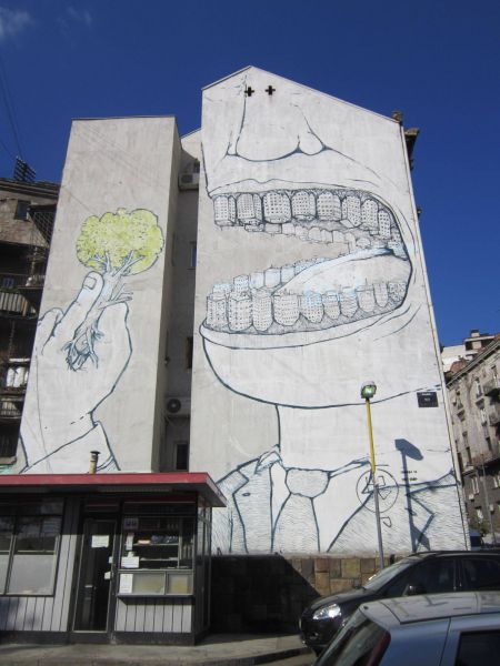 Morning Picdump