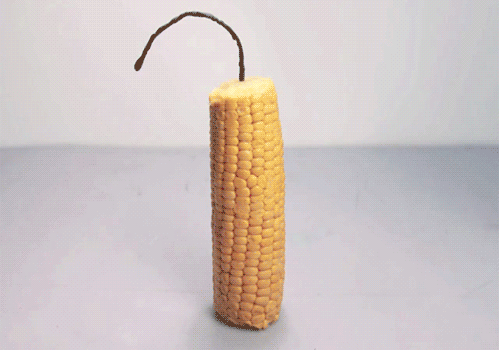 Friday Gifdump