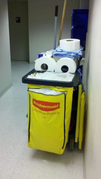 Morning Picdump