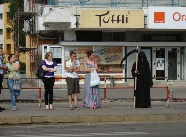Morning Picdump