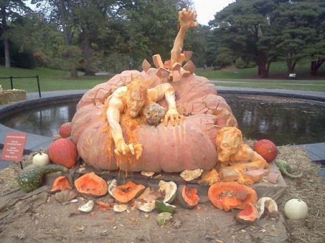 Morning Picdump