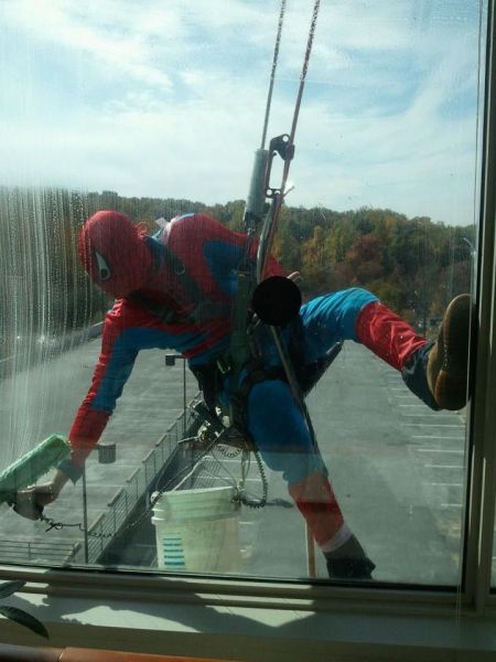Morning Picdump