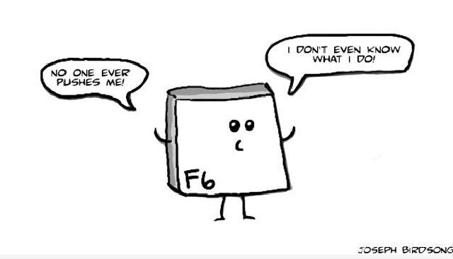 Morning Picdump