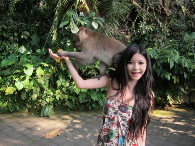 Monkeys Flirting with a Girl