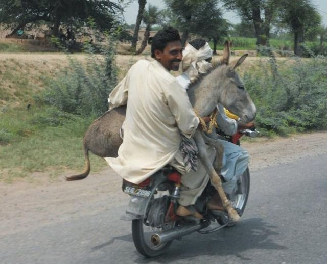 Daily Picdump