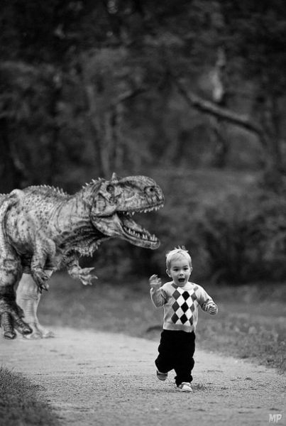 Morning Picdump