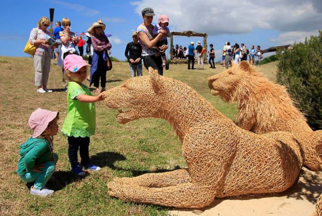 Morning Picdump