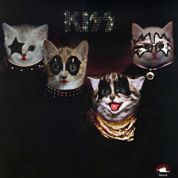 Kittens on Prominent Album Covers
