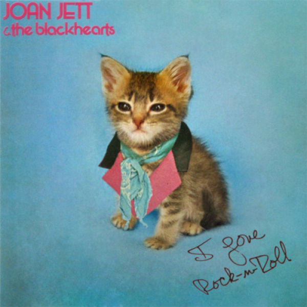 Kittens on Prominent Album Covers
