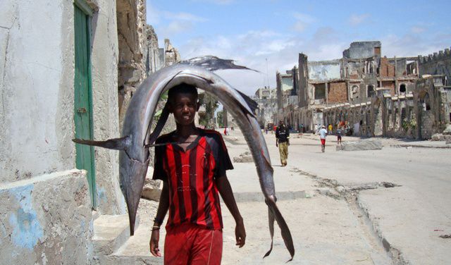 Somali Fishers
