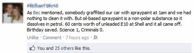 Morning Picdump