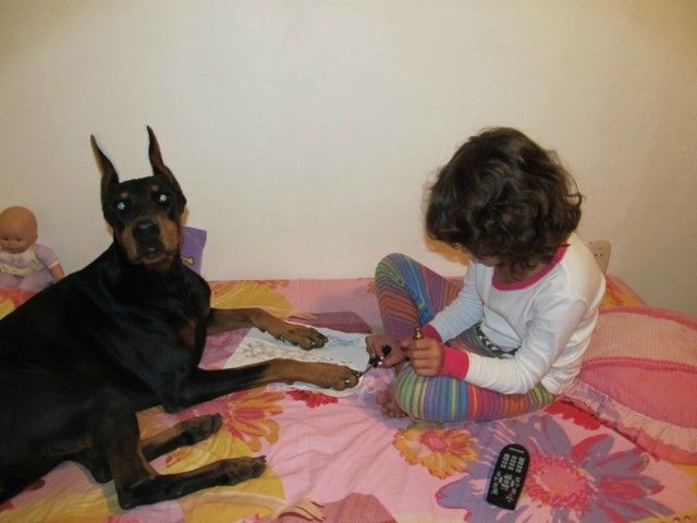 Morning Picdump