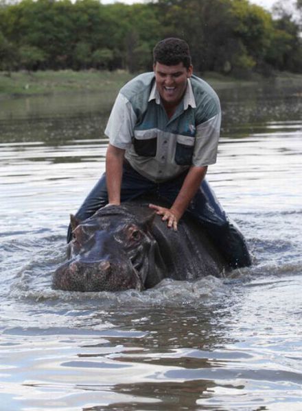 Pet Hippo Kills His Owner
