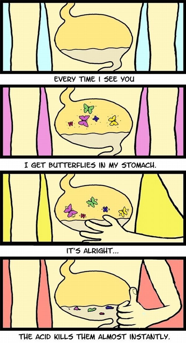 Morning Picdump