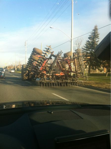 Daily Picdump