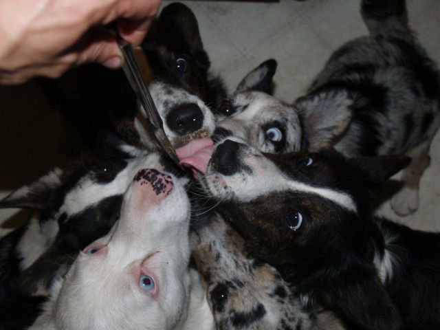 Daily Picdump