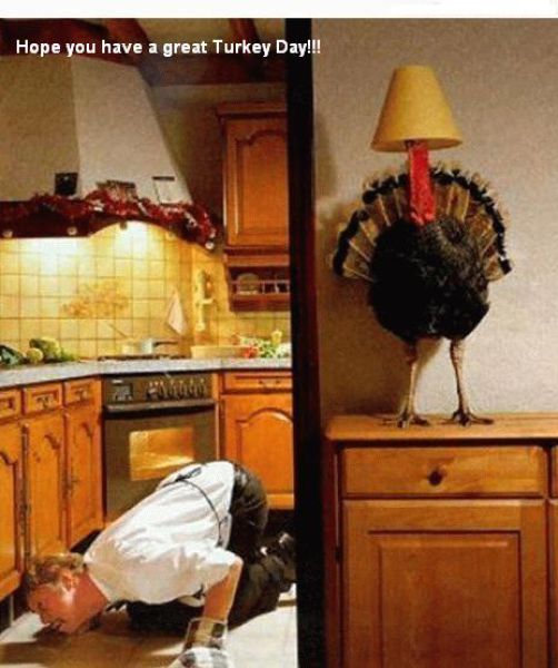 Funny Thanksgiving Moments