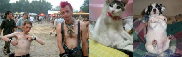 People and Animals Look-Alikes