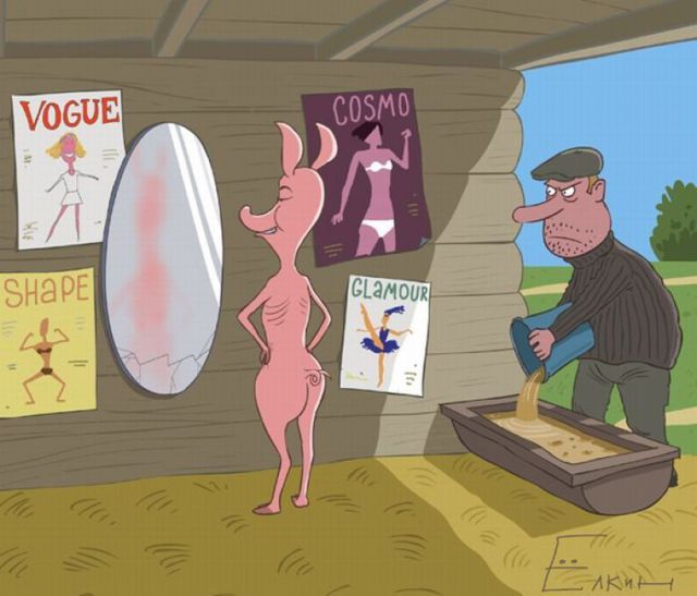 Morning Picdump