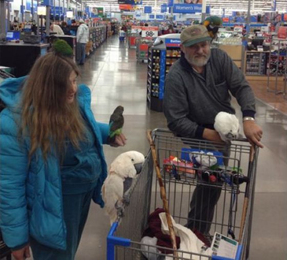 What You Can See in Walmart. Part 14