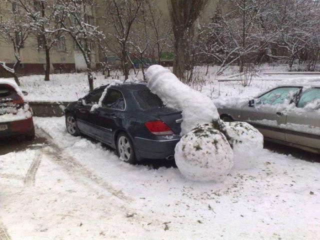 Daily Picdump