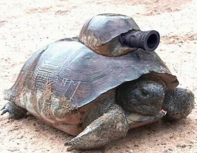 Morning Picdump
