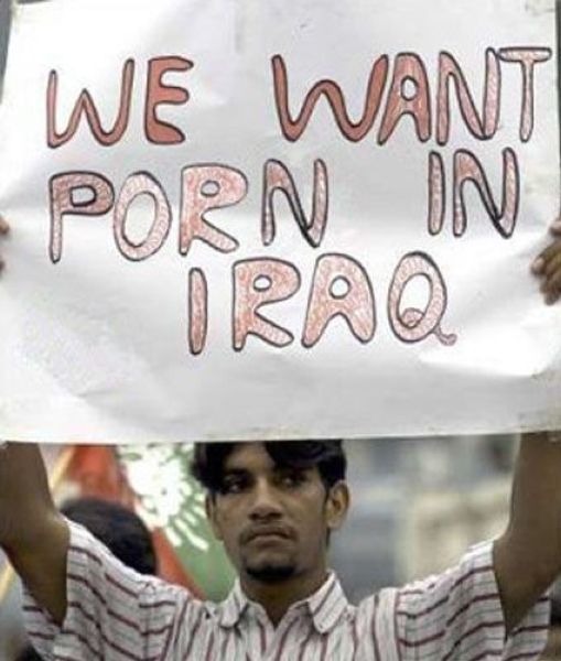 Morning Picdump
