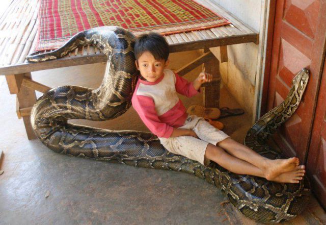 Morning Picdump