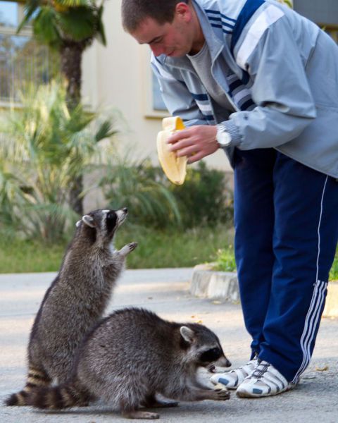 Morning Picdump