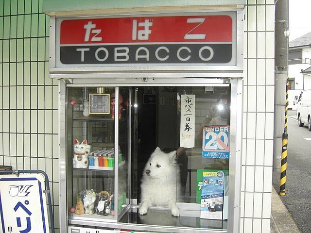 Morning Picdump
