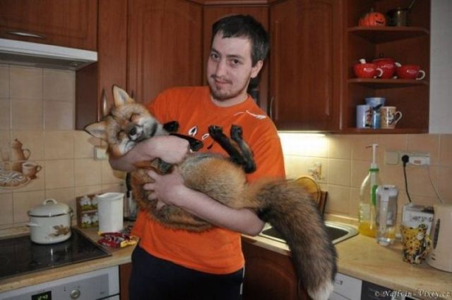 Morning Picdump