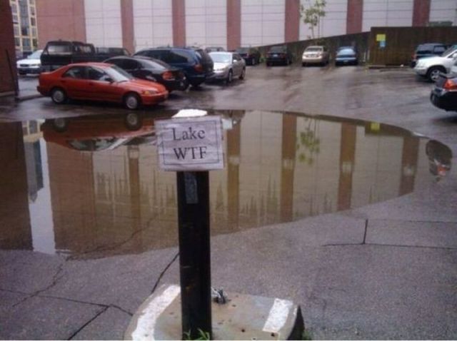 Morning Picdump