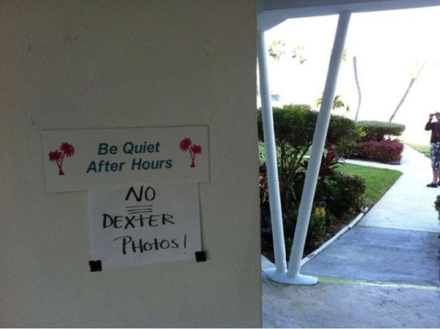 Morning Picdump