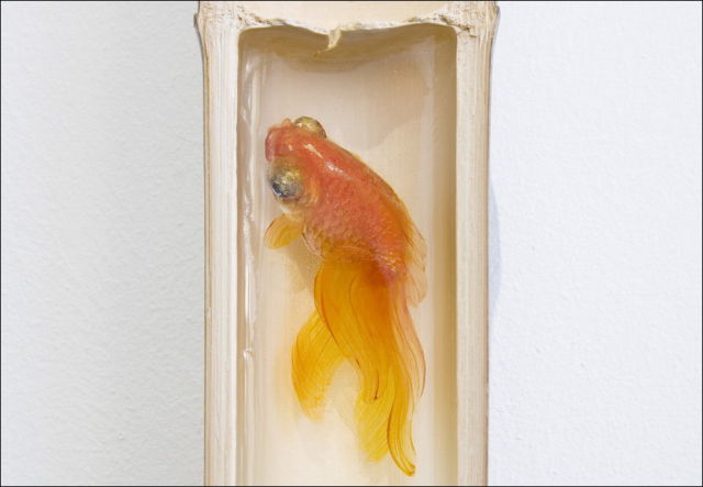 "Goldfish Salvation"