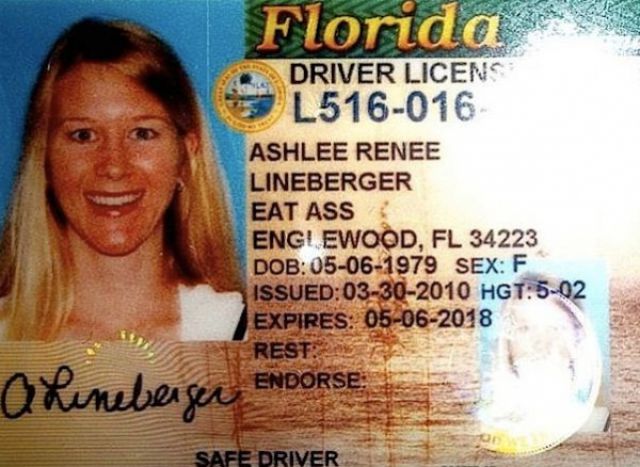 Funny Fake Drivers License Template