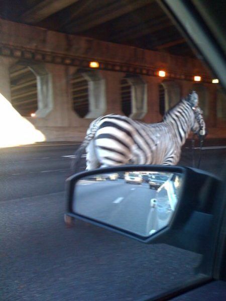 Morning Picdump