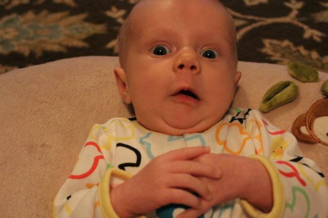 Morning Picdump