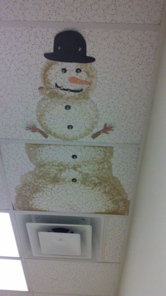 Morning Picdump