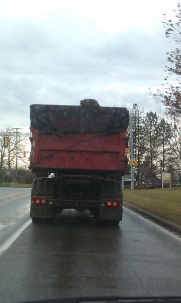 Morning Picdump