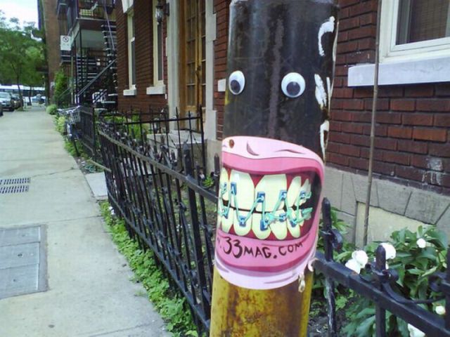 Morning Picdump