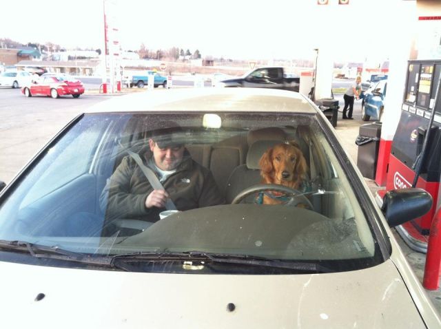 Morning Picdump