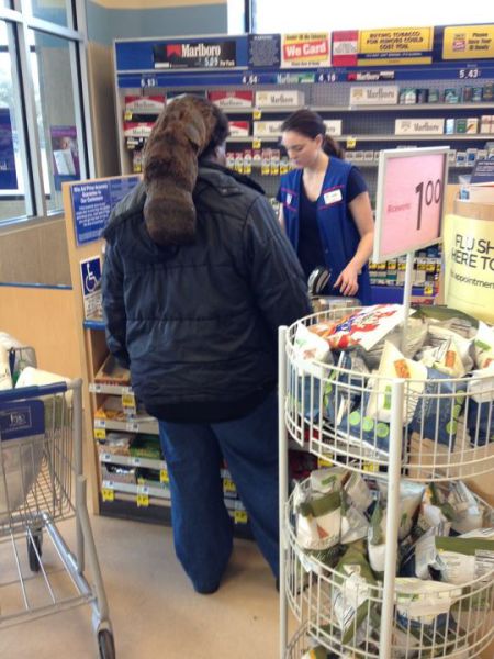 Morning Picdump