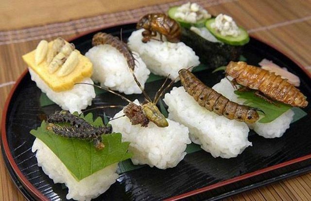 Kamikazi.gr - Γιωπωνέζικες λιχουδιές για ανθρώπους με γερό... στομάχι (pics)