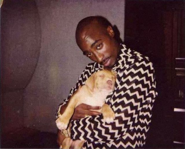 Rare Photographs of Celebrities. Part 19