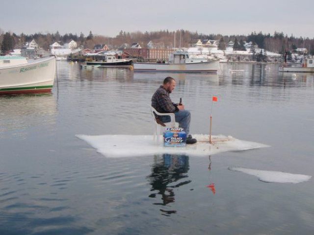Morning Picdump