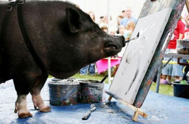 Morning Picdump