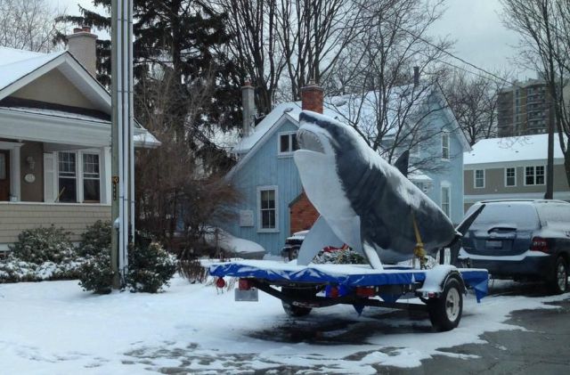 Morning Picdump